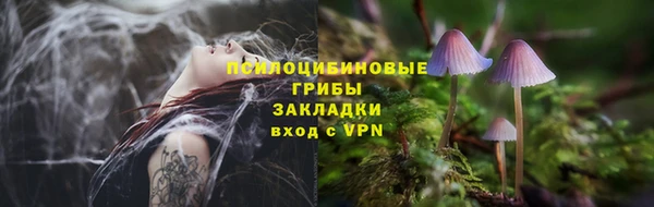 MDMA Premium VHQ Краснослободск